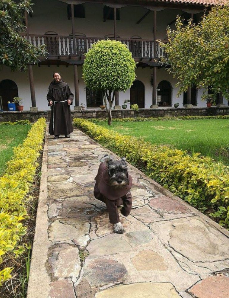 Il “cane-prete” che vive in convento e indossa il saio