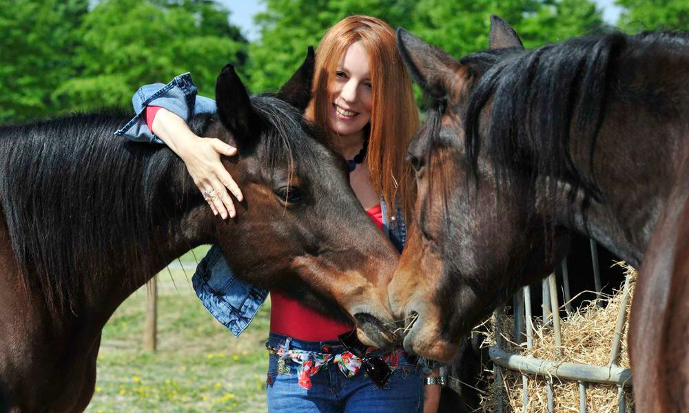 Macellazione clandestina, Onorevole Brambilla: “Riconoscere gli equidi come animali d’affezione”