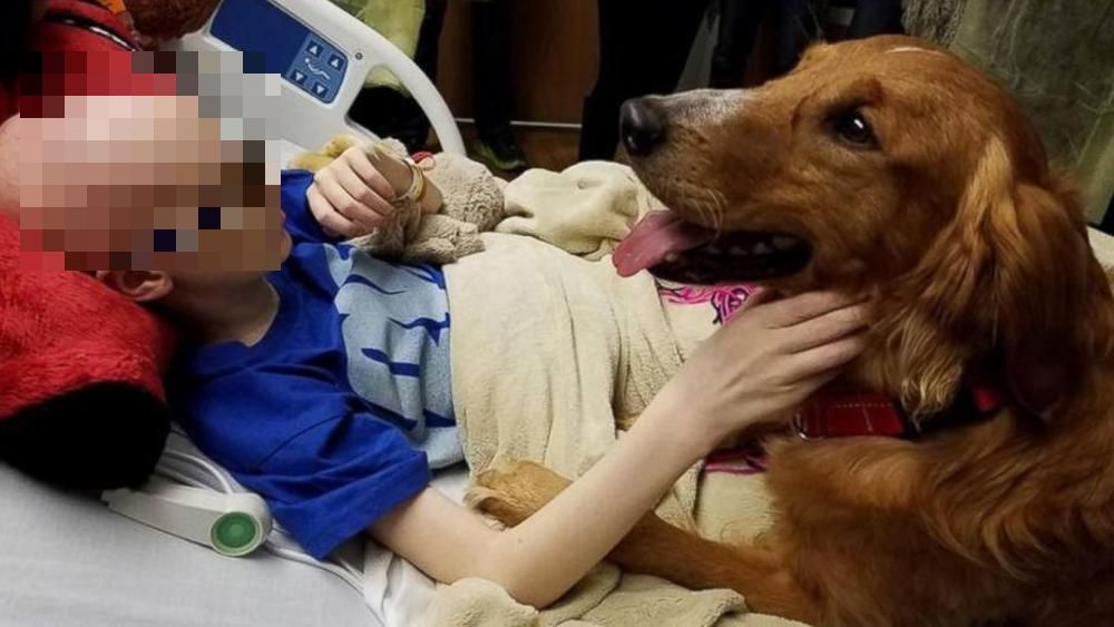 A soli 12 anni combatte contro un terribile cancro, ma un cane riesce a riportarle il sorriso… [VIDEO]