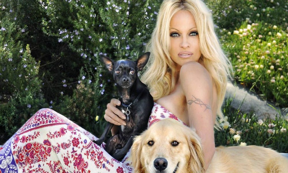 Pamela Anderson contro lo sfruttamento degli animali
