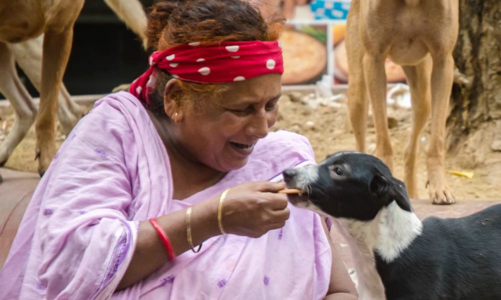 Sfama ogni giorno 400 cani: la commovente storia di Pratima Devi [VIDEO]