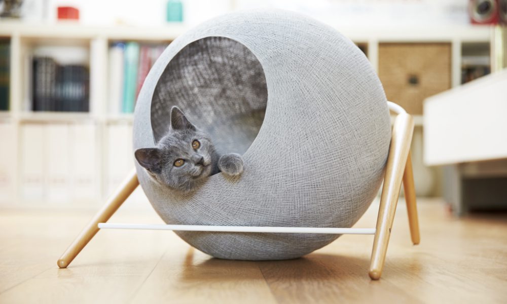 Design pet-friendly: quando l’arte del creare si adatta alle esigenze degli animali...