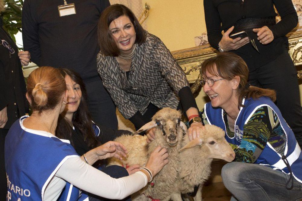 ENPA: “Un'altra Pasqua è possibile”, la Presidente della Camera Boldrini adotta due agnelline