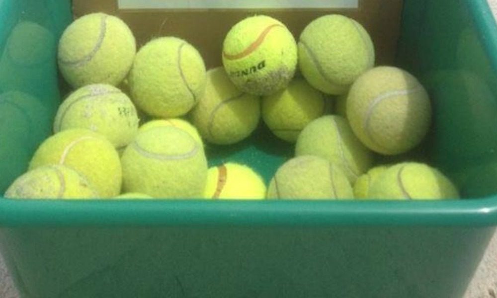 Col cane trova una scatola di palline da tennis e piange: ecco perché