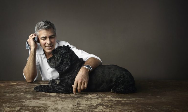 George Clooney dona 10.000 dollari per salvare nove cani
