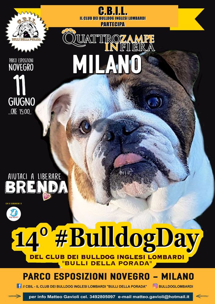 I “bulli” protagonisti a QuattroZampeinFiera: il 14° #Bulldogday a Milano