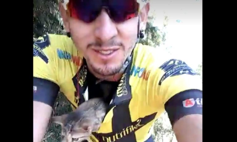 Ciclista trova un gattino per strada: quello che fa dopo è incredibile [VIDEO]