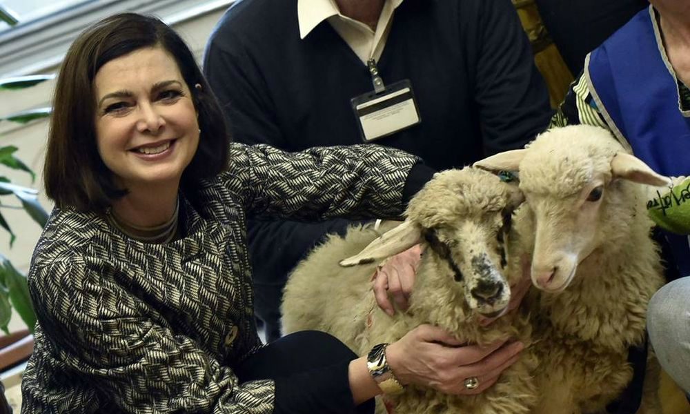 Bufera sulla Boldrini, l’AIDAA chiede le prove dell’adozione delle agnelline