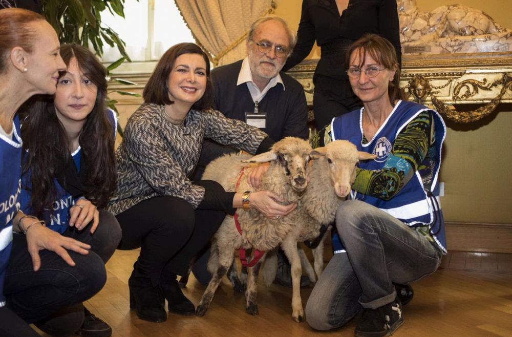 Bufera sulla Boldrini, l’AIDAA chiede le prove dell’adozione delle agnelline