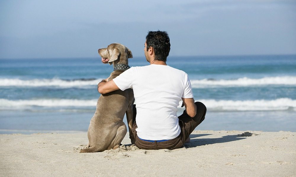 Chi ha un cane è più sexy, ma... occhio alla taglia!