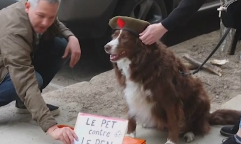 Presidenziali francesi: anche i cani a favore di Macron [VIDEO]