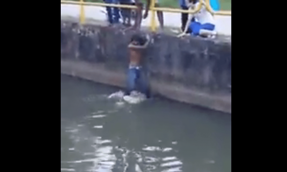 Ragazzo salva il cane dal fiume con le sue "gambe": il video fa il giro del mondo