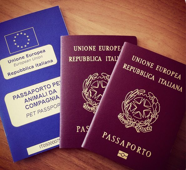 Cane, gatto e passaporto: come fare il documento indispensabile per i viaggi all’estero
