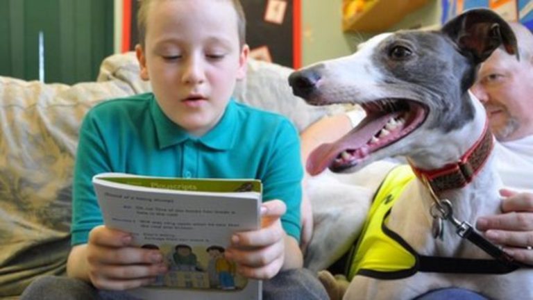 Leggere ai cani ad alta voce aiuta i bambini ad amare i libri