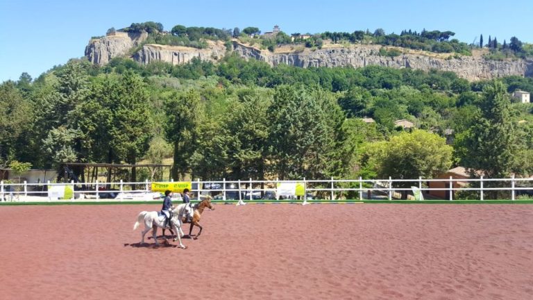 Innovazione e benessere animale: per la prima volta in Italia una struttura per cavalli in gomma riciclata