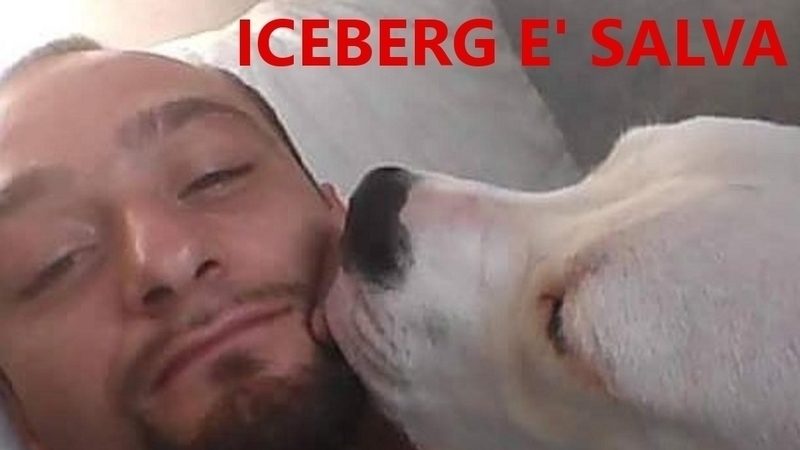 Iceberg è salva: la cagnolina condannata a morte in Danimarca tornerà in Italia
