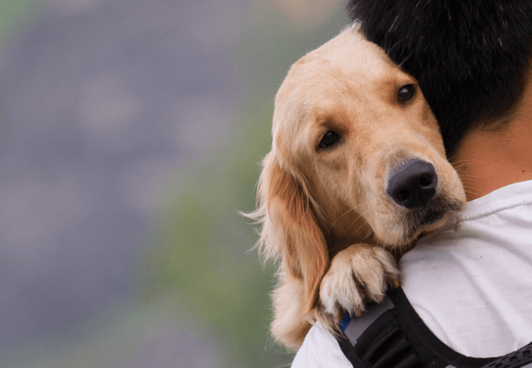 Cane scopre tumore della padrona: trattenete le lacrime, le ha odorato il naso…