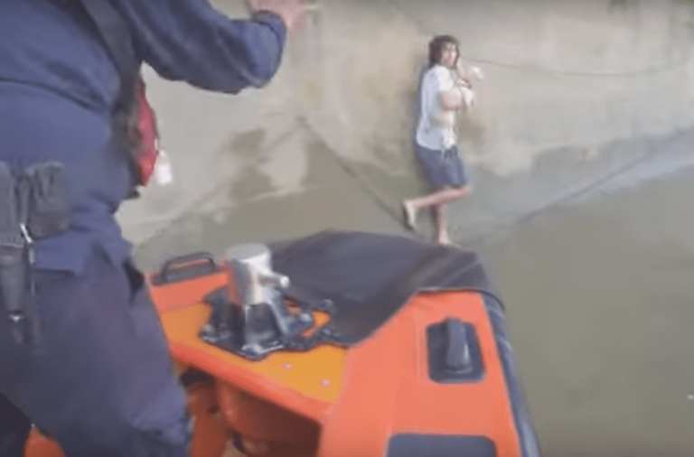 Cane cade nel fiume: un ragazzo lo vede e fa una cosa incredibile [VIDEO]