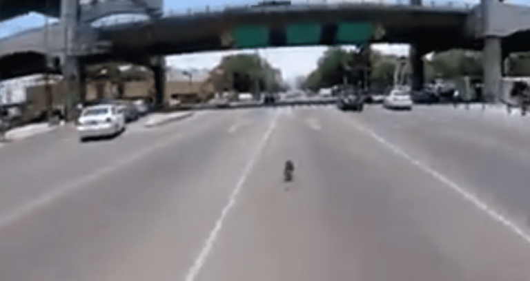 Il cane è in pericolo: ciclista rischia la sua vita per aiutarlo [VIDEO]