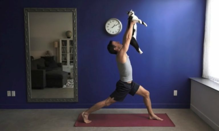Un nuovo modo di fare yoga [VIDEO]