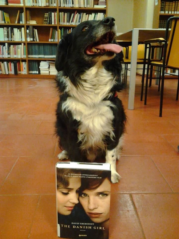 “Books & Pets”, libri e social network contro l’abbandono degli animali domestici 