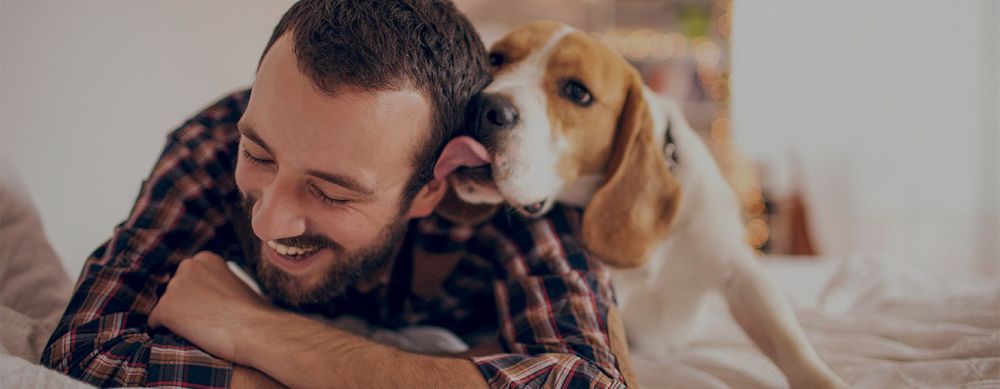 DogBuddy sceglie Adaptil®: un aiuto importante per i cani affidati ai dog sitter