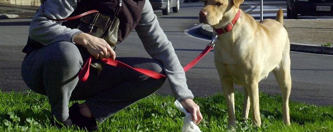 Milano: più multe per chi non raccoglie le deiezioni dei propri cani, l’AIDAA interviene