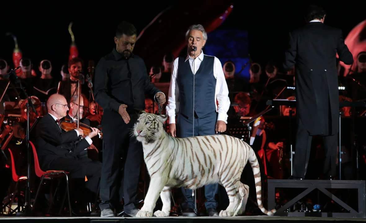 Tigre sul palco al concerto di Bocelli: esplode la polemica