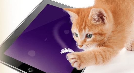 Giochi per gatti: le app da non perdere