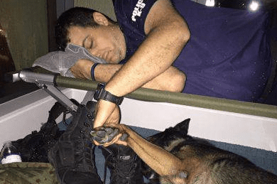 Il poliziotto dorme tenendo la zampa del suo cane: la foto è virale