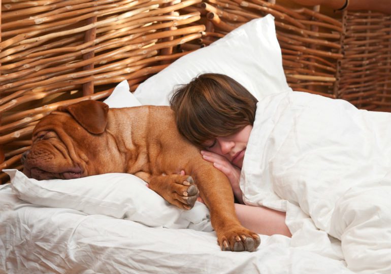 Dormire col cane fa bene alla salute. Ma non sul letto