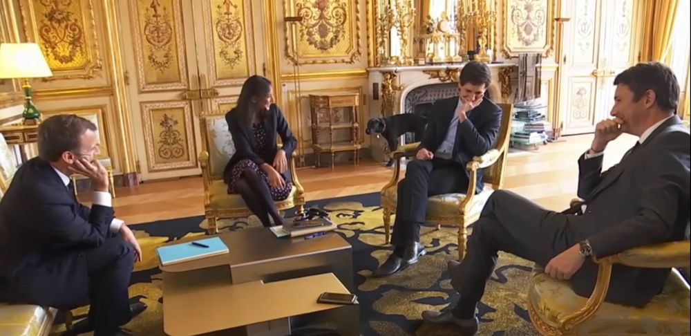 Imbarazzo all’Eliseo: il cane di Macron fa la pipì sul caminetto durante una riunione di governo