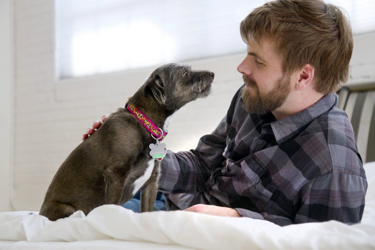 “L’esperto risponde” - Salmonellosi da cane a uomo: come avviene il contagio