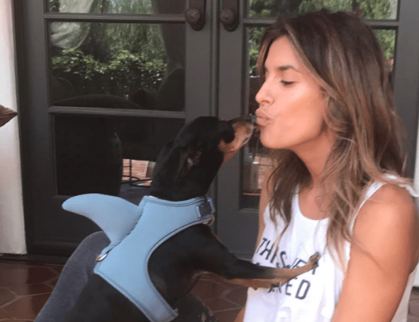 Elisabetta Canalis in ansia per il cane: Piero è stato operato