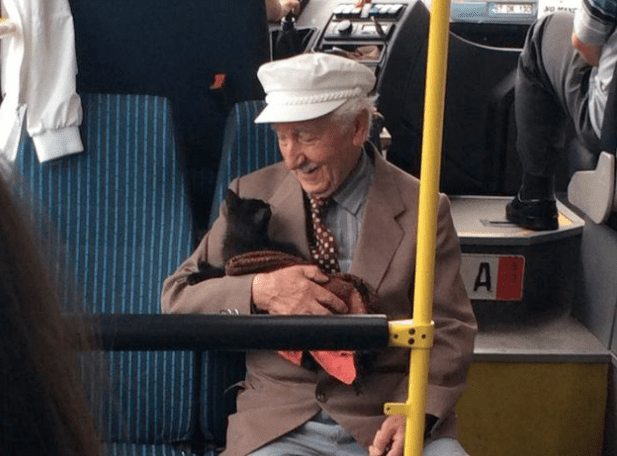 Anziano sale sul bus con un gattino: la foto fa il giro del mondo