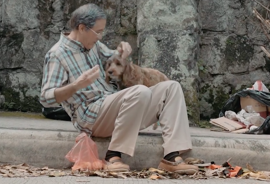 Un cane aiuta a vivere meglio: il video di Natale che non ti aspetti