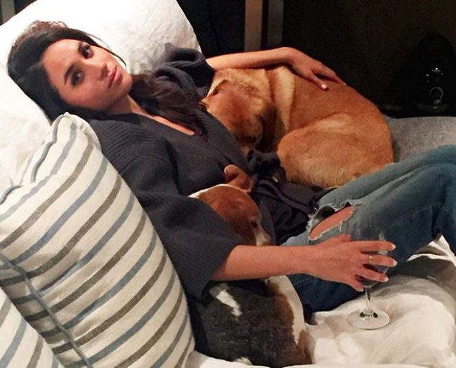 Meghan Markle rinuncia al cane per sposare il principe Harry