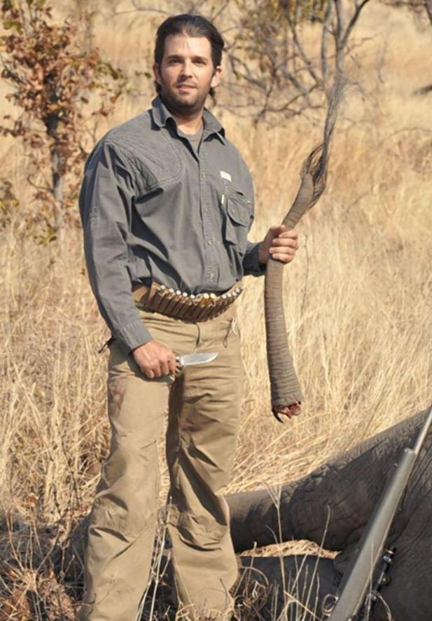 Trump Jr uccide e mutila un elefante, suo padre lo premia modificando la legge sul bracconaggio: esplode la polemica