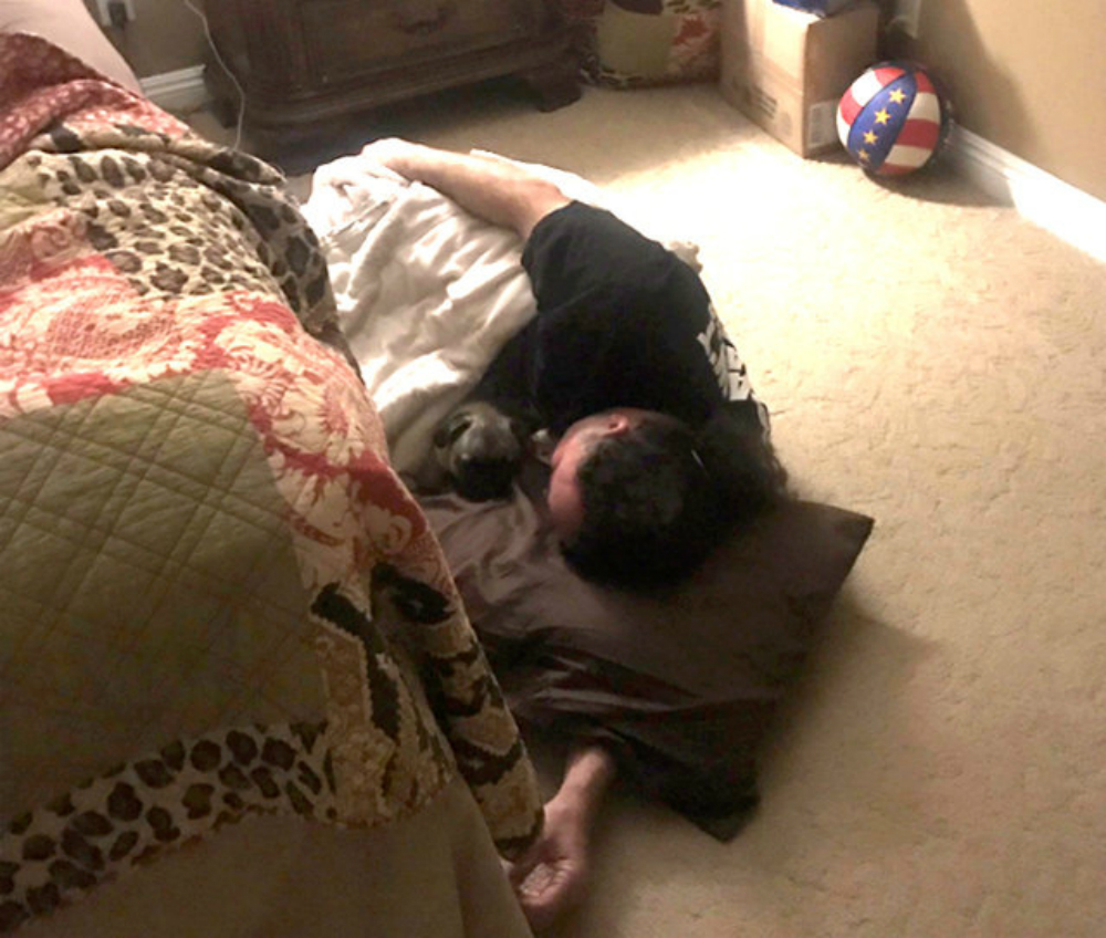 La cagnolina non può più dormire sul letto: la reazione del proprietario è sorprendente