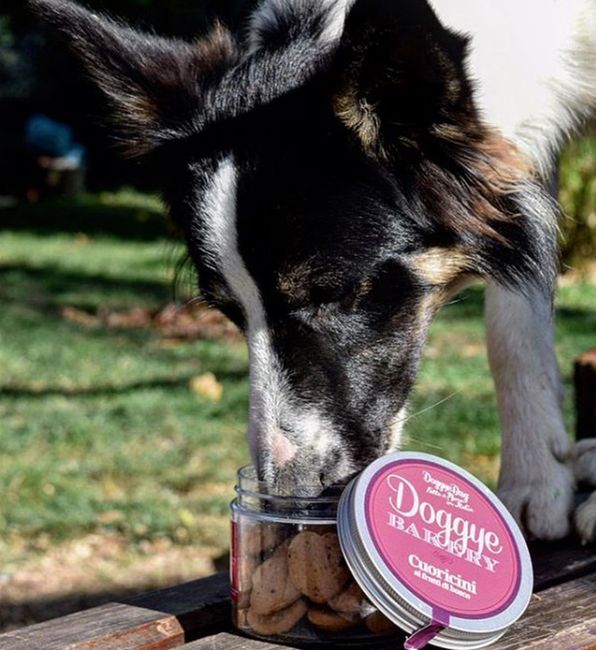 Doggye Bag: nasce la prima pasticceria per cani ed è subito polemica