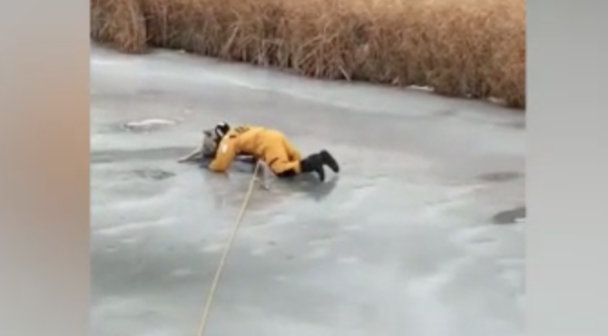 Cane cade nel torrente ghiacciato: il salvataggio è incredibile [VIDEO]