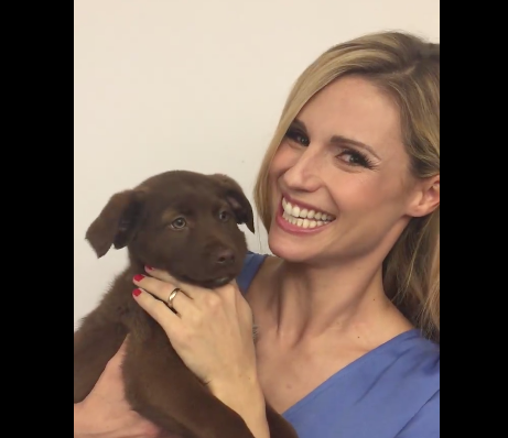 Michelle Hunziker e il nuovo cane di Striscia: ha bisogno di… [VIDEO]