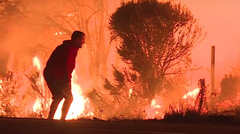 Ragazzo si getta nel fuoco per salvare un coniglio selvatico [VIDEO]