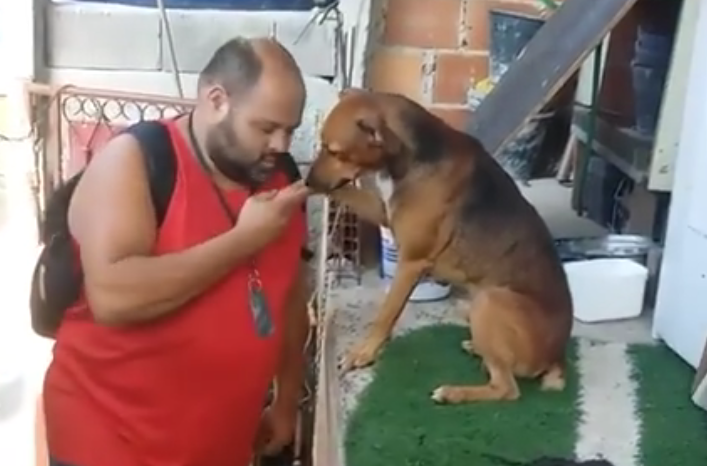 Il cane vuole il baciamano: il video del saluto diventa virale