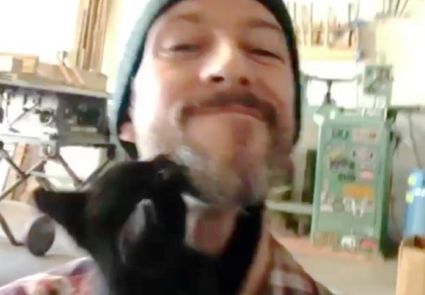 Un uomo filma il momento in cui viene scelto da un gatto randagio [VIDEO]