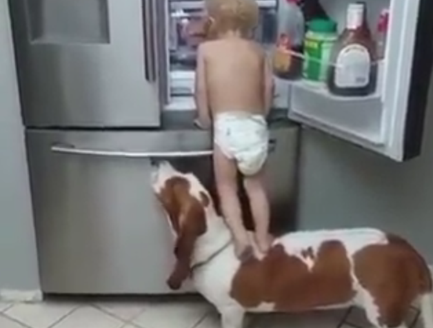 L’amicizia tra bimbi e cani spiegata in un video da vedere assolutamente