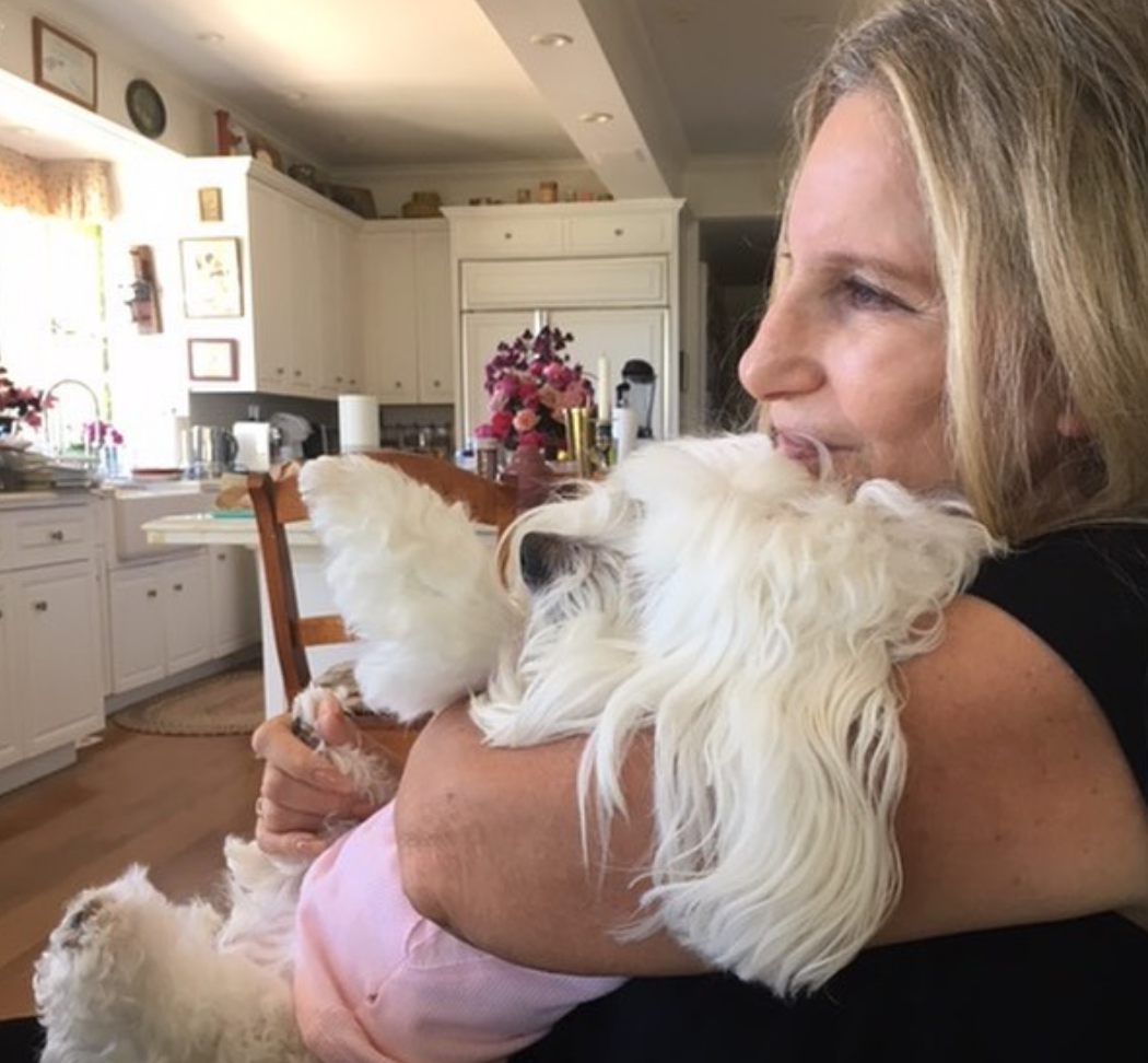 Barbra Streisand ha clonato il suo cane: "L'ho fatto per amore"