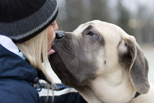 San Valentino: 10 motivi per cui un cane è meglio di un fidanzato