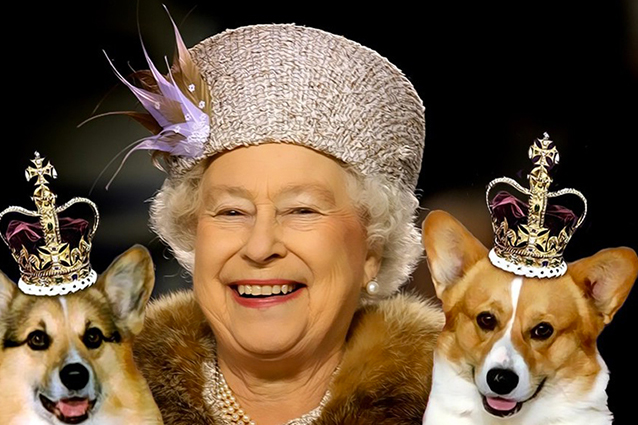Bimbo vorrebbe un cane della regina Elisabetta e le scrive. Lei risponde così