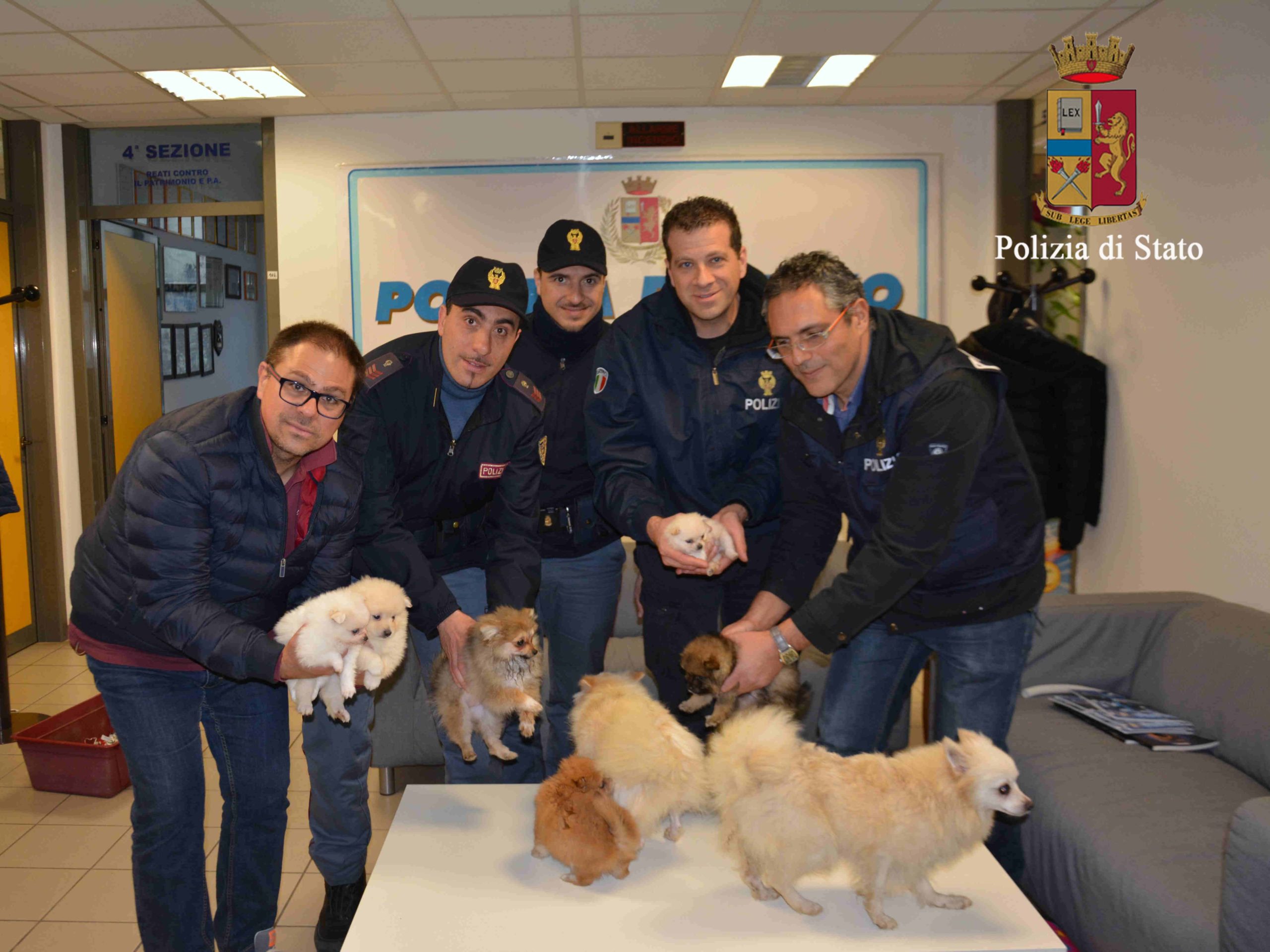 Polizia recupera sei cuccioli in fin di vita rubati a Ragusa